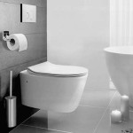 Wall Hung toilets with Complete Explanations and Familiarization