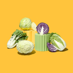 cabbage Specifications and How to Buy in Bulk