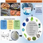 Finest Chitosan Price Per Kg To Make Your Meals Yummy