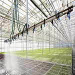 irrigation Acquaintance from Beginning to End Bulk Purchase Prices