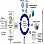 Synthesis and Characterization of SiO2 Nanoparticles