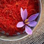NEGIN SAFFRON Specifications and How to Buy in Bulk