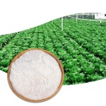 Chitosan Water Soluble Powder Supplier