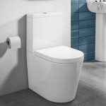 Back To Wall toilets with Complete Explanations and Familiarization