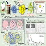 What is the price of silver nanoparticles?