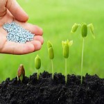 nanoscale fertilizers Specifications and How to Buy in Bulk