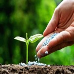 nanoscale fertilizers  bricks  Price List Wholesale and Economical