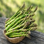 Asparagus with Complete Explanations and Familiarization
