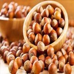 Turkish hazelnut with Complete Explanations and Familiarization