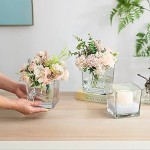 Square Vase with Complete Explanations and Familiarization