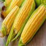 Learning to Buy a corn from Beginning to End