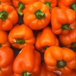 Orange Bell Pepper with Complete Explanations and Familiarization