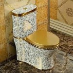 gravity toilet with Complete Explanations and Familiarization