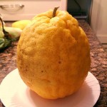 Balang List Wholesale and Economical