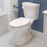 elongated toilets with Complete Explanations and Familiarization