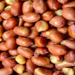 Spanish Peanuts Specifications and How to Buy in Bulk
