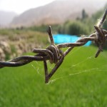 Barbed Wire with Complete Explanations and Familiarization
