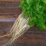 Bulk Purchase of Parsley Root with the Best Conditions