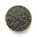 Beluga Caviar with Complete Explanations and Familiarization