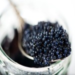 Sterlet Caviar Buying Guide with Special Conditions and Exceptional Price