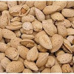 Sonora Almonds with Complete Explanations and Familiarization