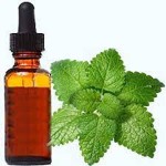 Lemon balm extracts with Complete Explanations and Familiarization