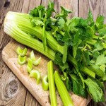 Green bean  Specifications and How to Buy in Bulk