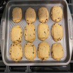 Baking Sheet with Complete Explanations and Familiarization