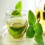 Price and Purchase of Mint Extract with Complete Specifications