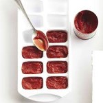 frozen tomato paste with Complete Explanations and Familiarization