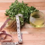 Fenugreek Extract Buying Guide with Special Conditions and Exceptional Price