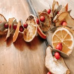 dried fruit garland Buying Guide with Special Conditions and Exceptional Price