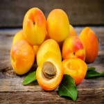 Apache Apricot Price List Wholesale and Economical