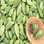 Cardamom List Wholesale and Economical