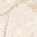 Learning to Buy Light Marble from Beginning to End