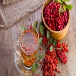 Barberries Specifications and How to Buy in Bulk