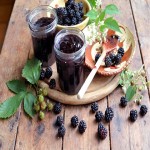 Blackberry Jam Buying Guide with Special Conditions and Exceptional Price