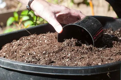 A great lesson for thoughtful merchants and employees + Business proposal for the purchase black plastic vase