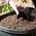 A great lesson for thoughtful merchants and employees + Business proposal for the purchase black plastic vase