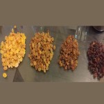 Are extra large golden raisins good for females+The purchase price