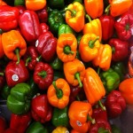 Bell pepper colors same plant or different breeds entirely