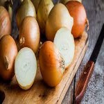 Sweet onions Price List Wholesale and Economical