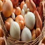 yellow onion with Complete Explanations and Familiarization