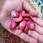 Double Beans Benefits Offers Numerous Health Care