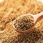 Sesame seeds with Complete Explanations and Familiarization