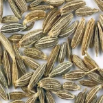 Cumin Acquaintance from Beginning to End Bulk Purchase Prices