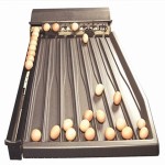 egg sorter machine philippines specifications and how to buy in bulk