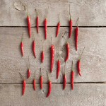 red pepper restaurant acquaintance from zero to one hundred bulk purchase prices