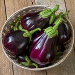 black eggplant in italian with complete explanations and familiarization
