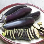 Price and purchase of eggplant vs zucchini nutrition